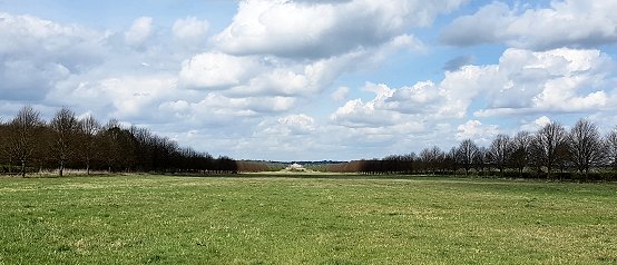 South Avenue looking towards Wimpole Hall (April 2019)