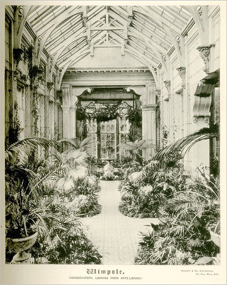 Wimpole Hall c1890, Conservatory Looking from Ante-Library