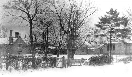 School House and School Building c1925