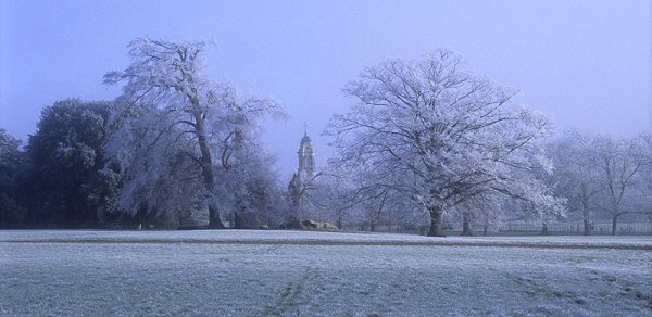 Frosty Reception