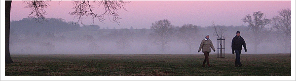 A Misty Morning on the Wimpole Estate